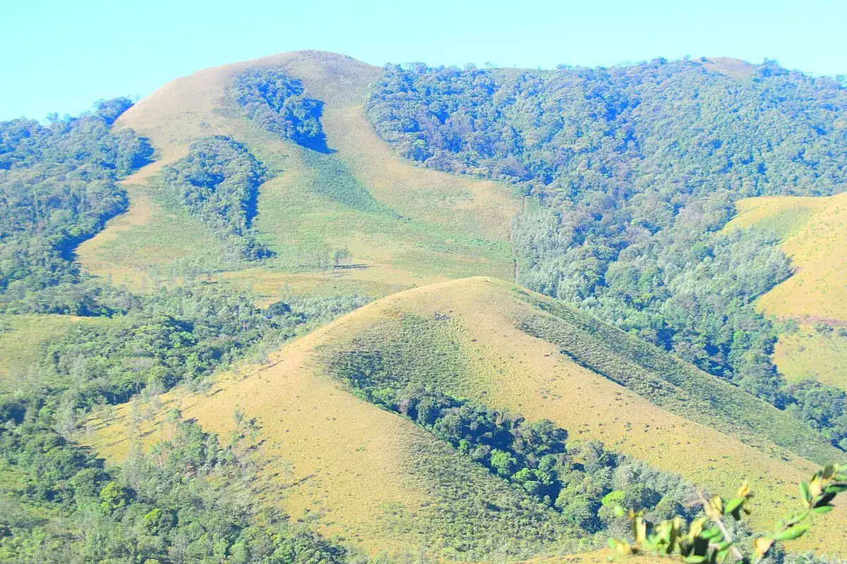 Green ridges of Mullayanagiri